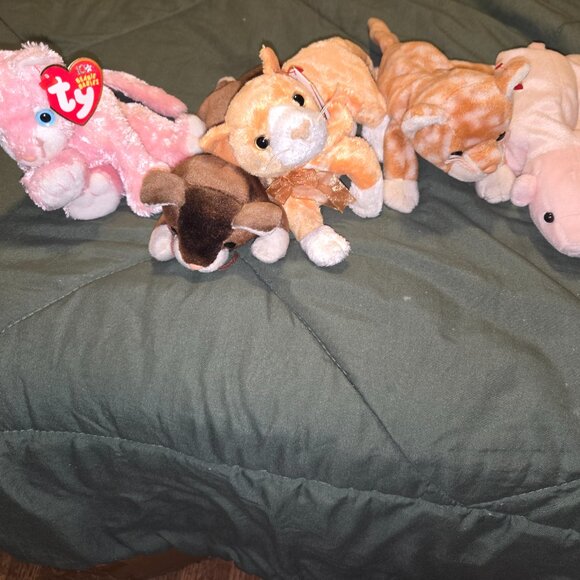 Collection of Beanie Babie - Picture 2 of 16